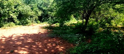 Embu,Mbeere 8 Acres Farmland - Image 3