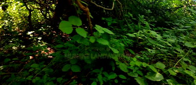 Embu,Mbeere 8 Acres Farmland - Image 4