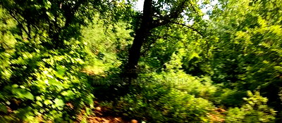 Embu,Mbeere 8 Acres Farmland - Image 15