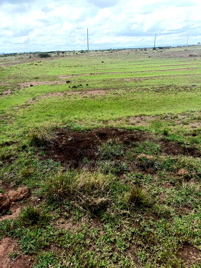 Three Quarters Land for Sale at Juja Mastore - Image 3
