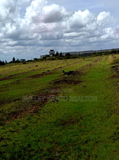 Three Quarters Land for Sale at Juja Mastore - Image 4
