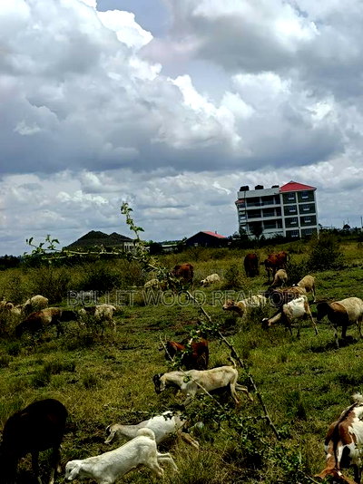 Three Quarters Land for Sale at Juja Mastore - Image 1