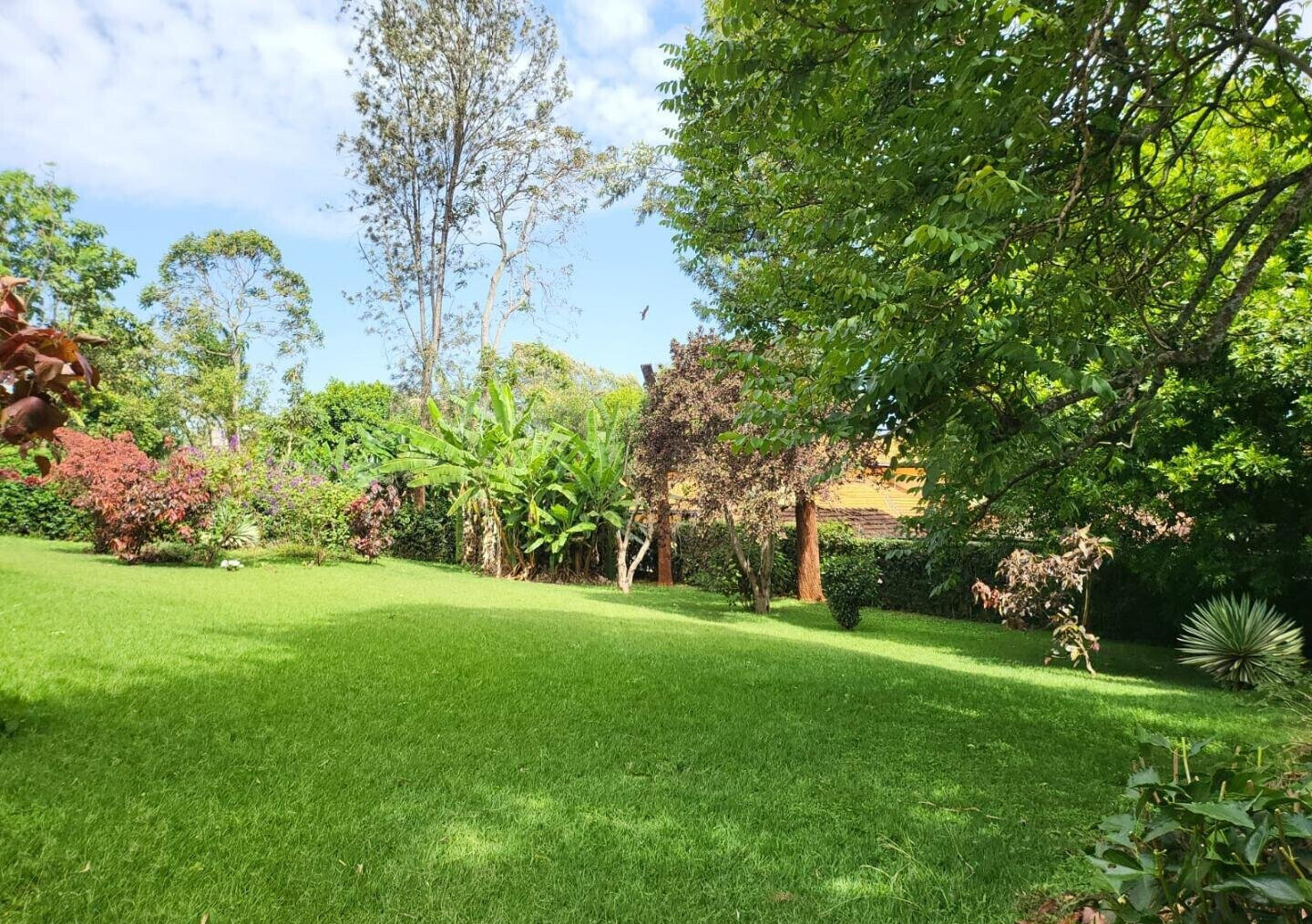 Half Acre 5BR Townhouse with Garden