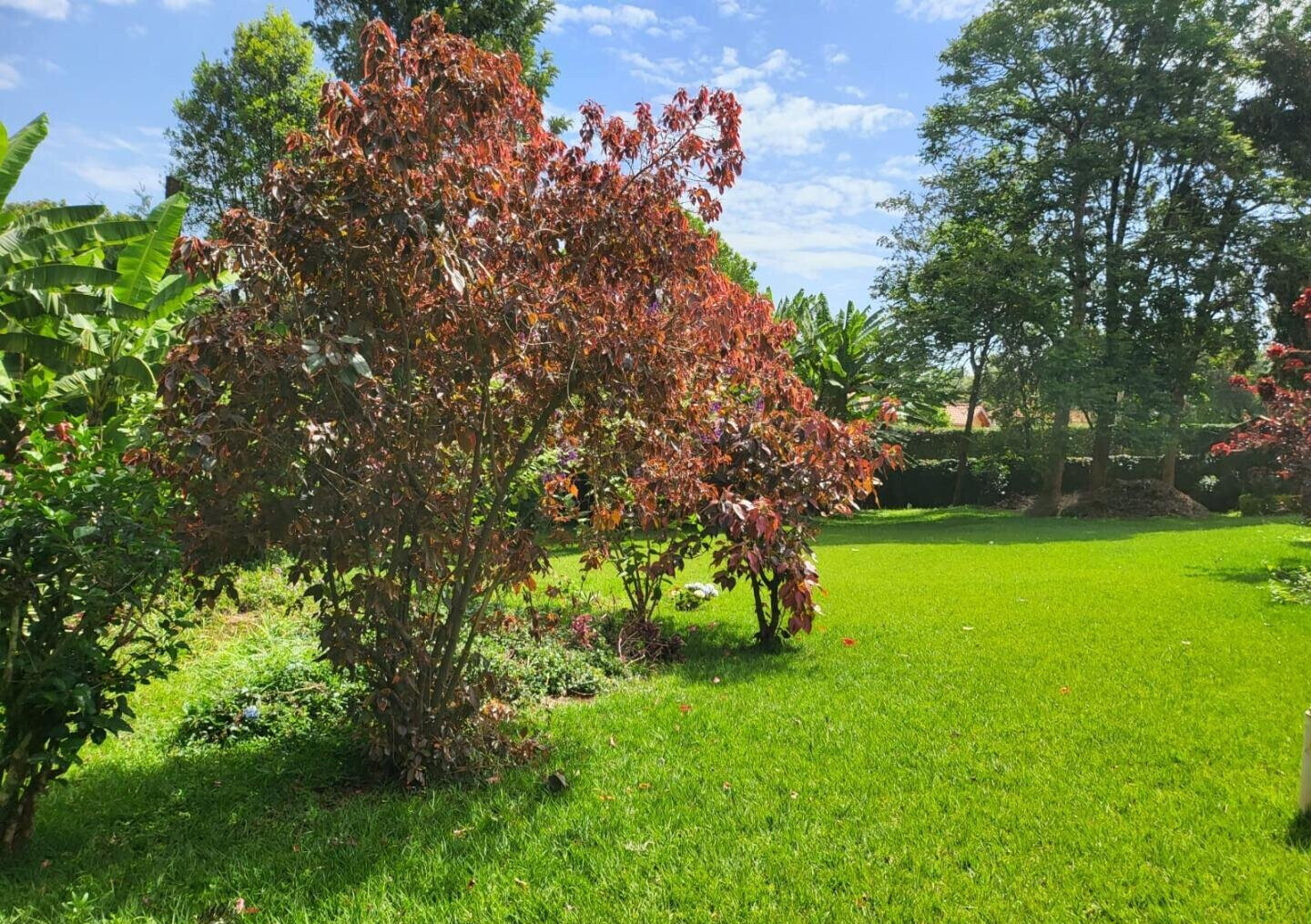 Half Acre 5BR Townhouse with Garden