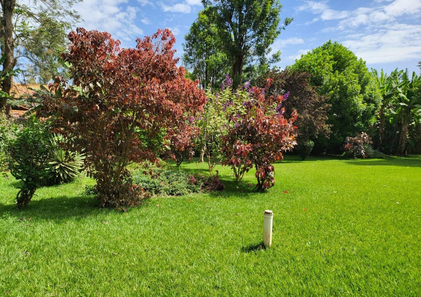 Half Acre 5BR Townhouse with Garden