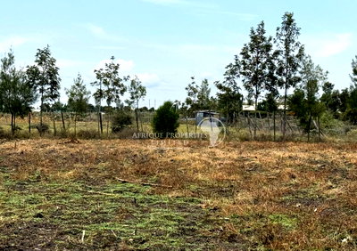 Quarter Acre Plot for KSh 6M