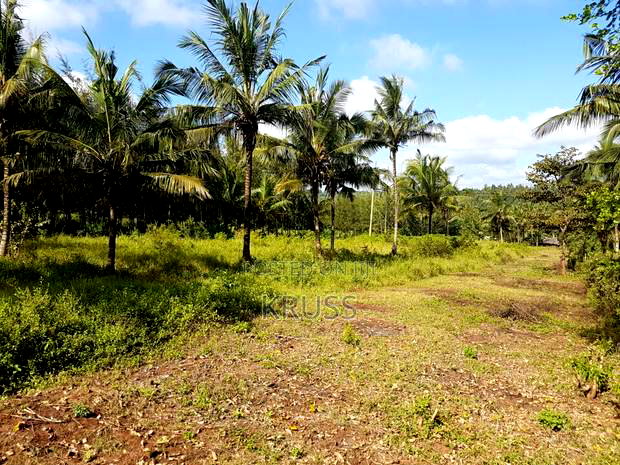 Quarter Acre Piece of Land for Sale at Vipingo-Gongoni