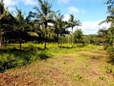 Quarter Acre Piece of Land for Sale at Vipingo-Gongoni - Image 5