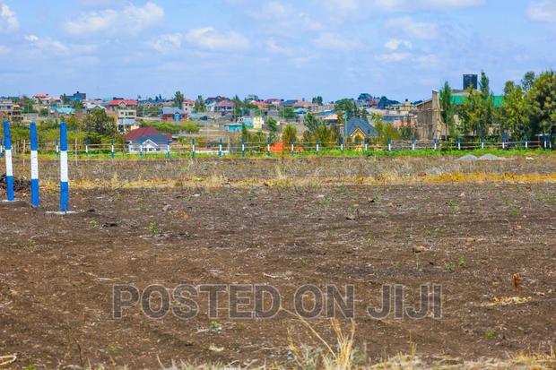 Strategic Prime Plots in Kamulu