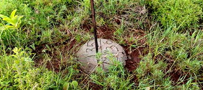 Prime 50x100 Plots for Sale on OFFER! In Kikuyu Nachu - Image 1