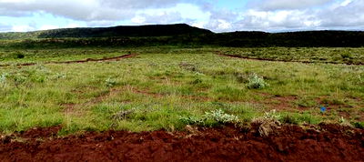 Prime 50x100 Plots for Sale on OFFER! In Kikuyu Nachu - Image 3