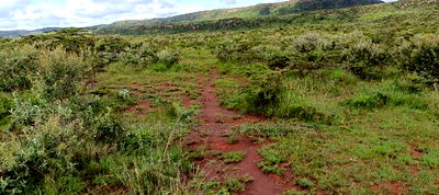 Prime 50x100 Plots for Sale on OFFER! In Kikuyu Nachu - Image 5