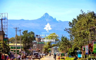 Quarter Acre Commercial Plot in Nanyuki CBD