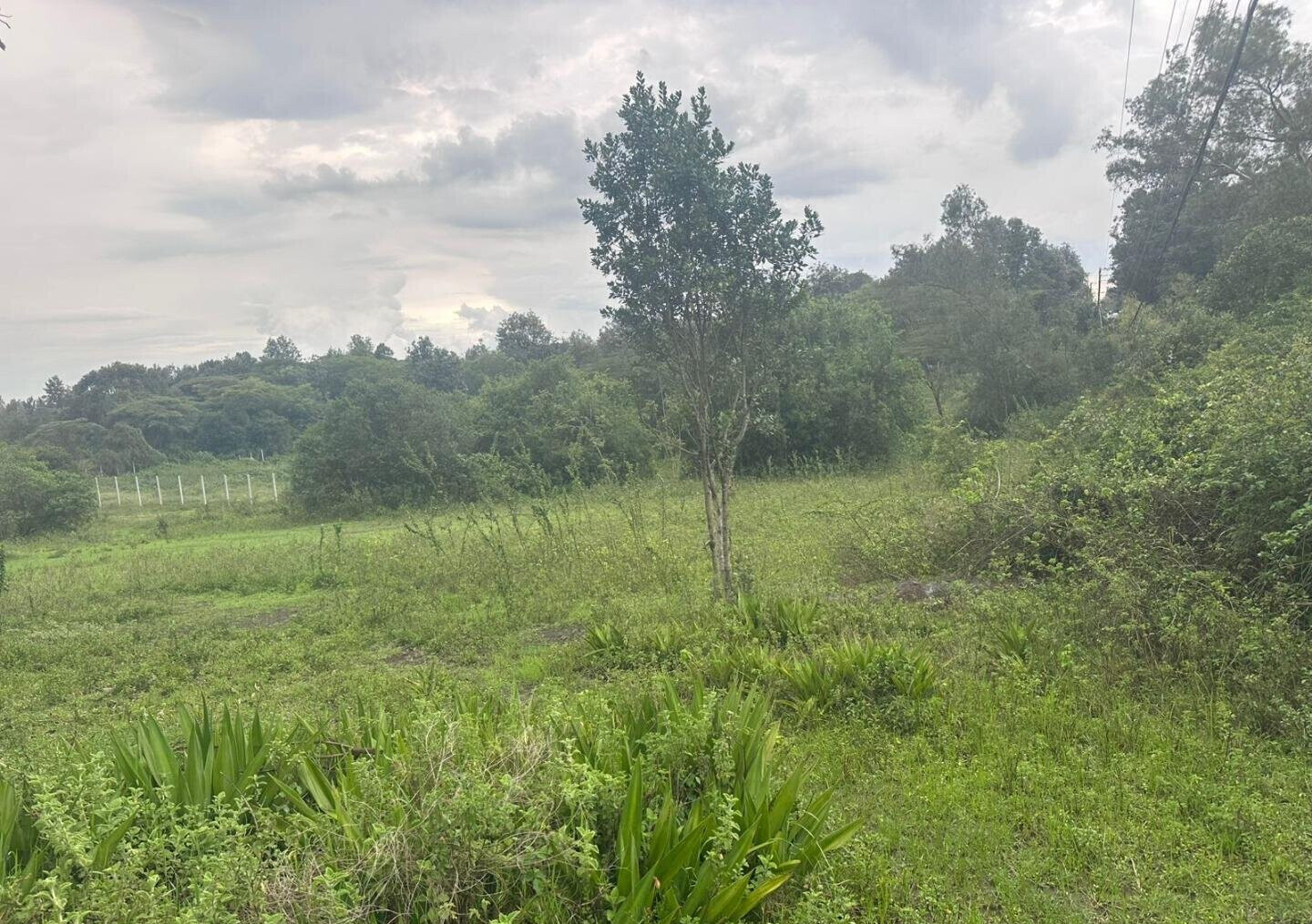 Half Acre in Karen at KSh 35M