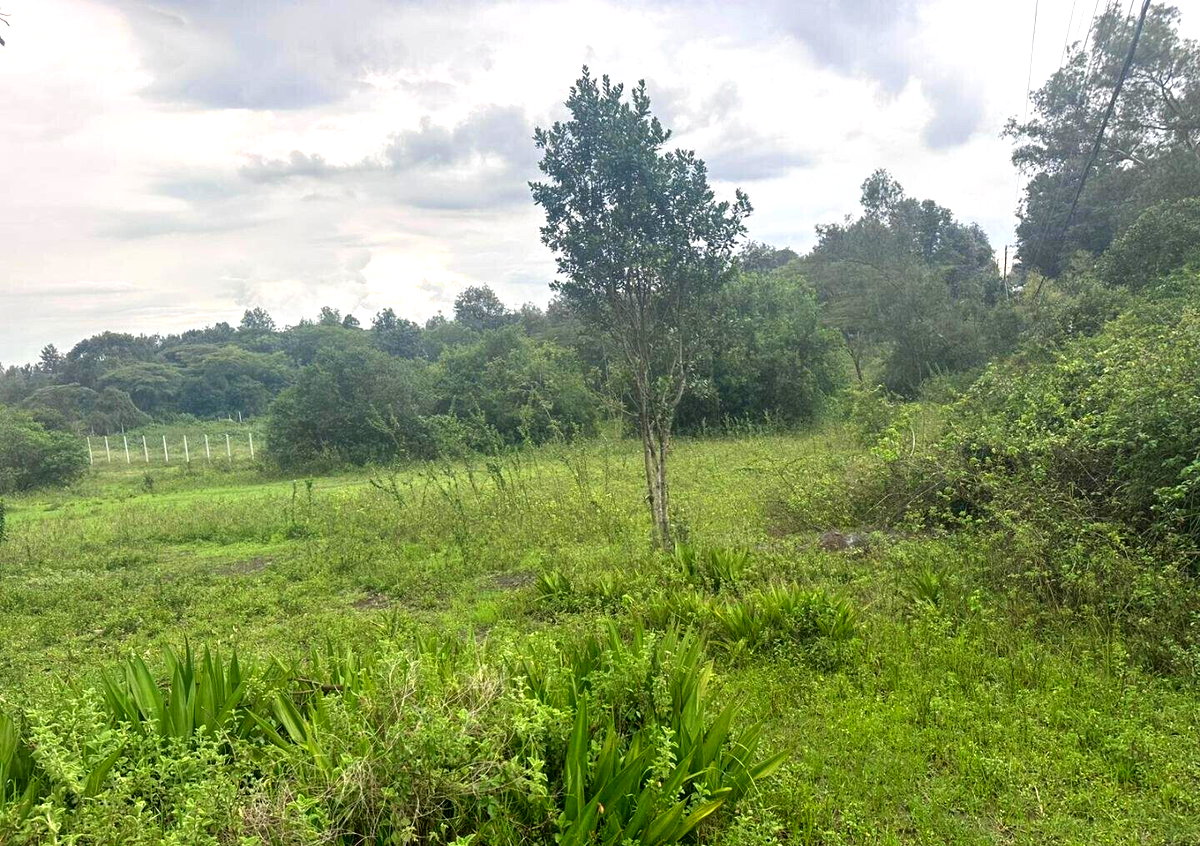 Half Acre in Karen at KSh 35M