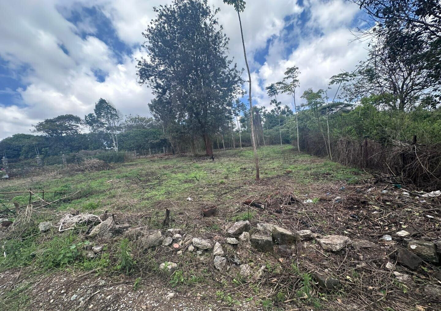 Half Acre in Karen at KSh 35M