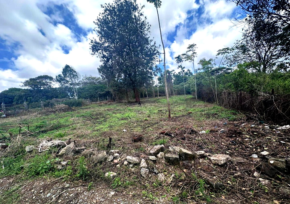 Half Acre in Karen at KSh 35M