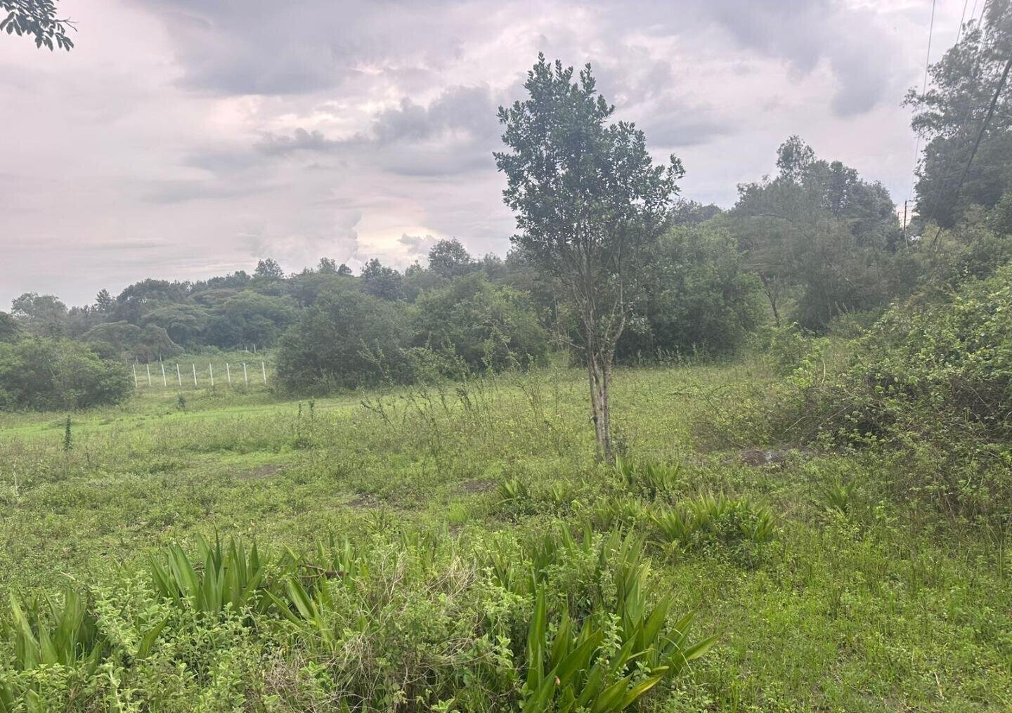 Half Acre in Karen at KSh 35M