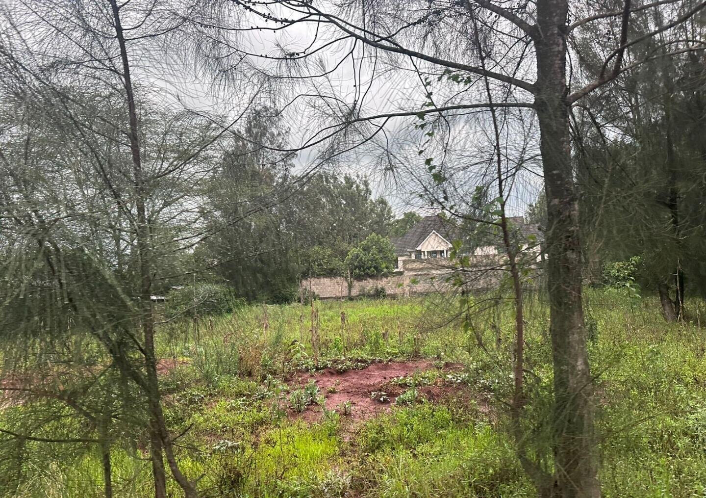 Half Acre in Karen at KSh 35M