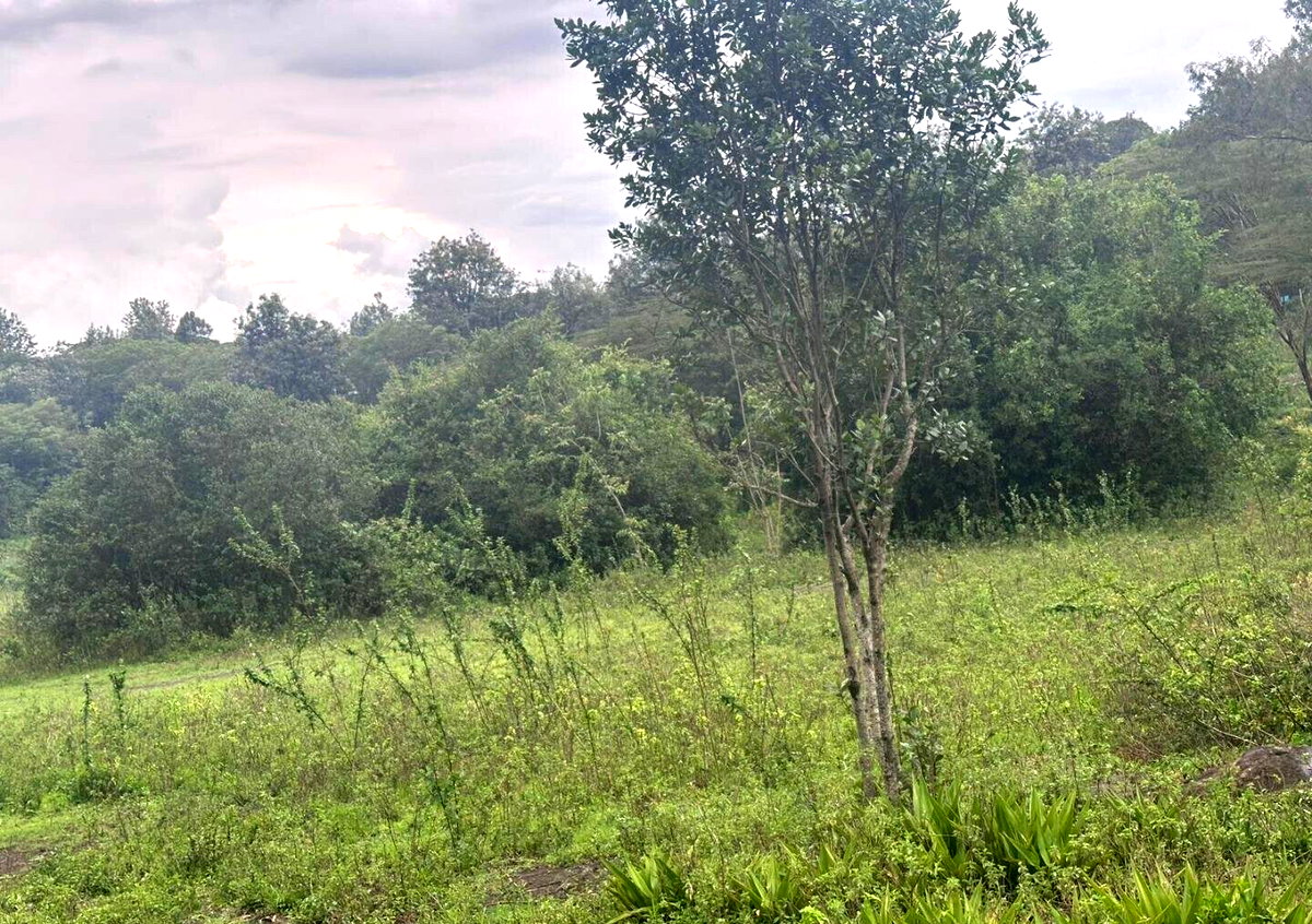 Half Acre in Karen at KSh 35M