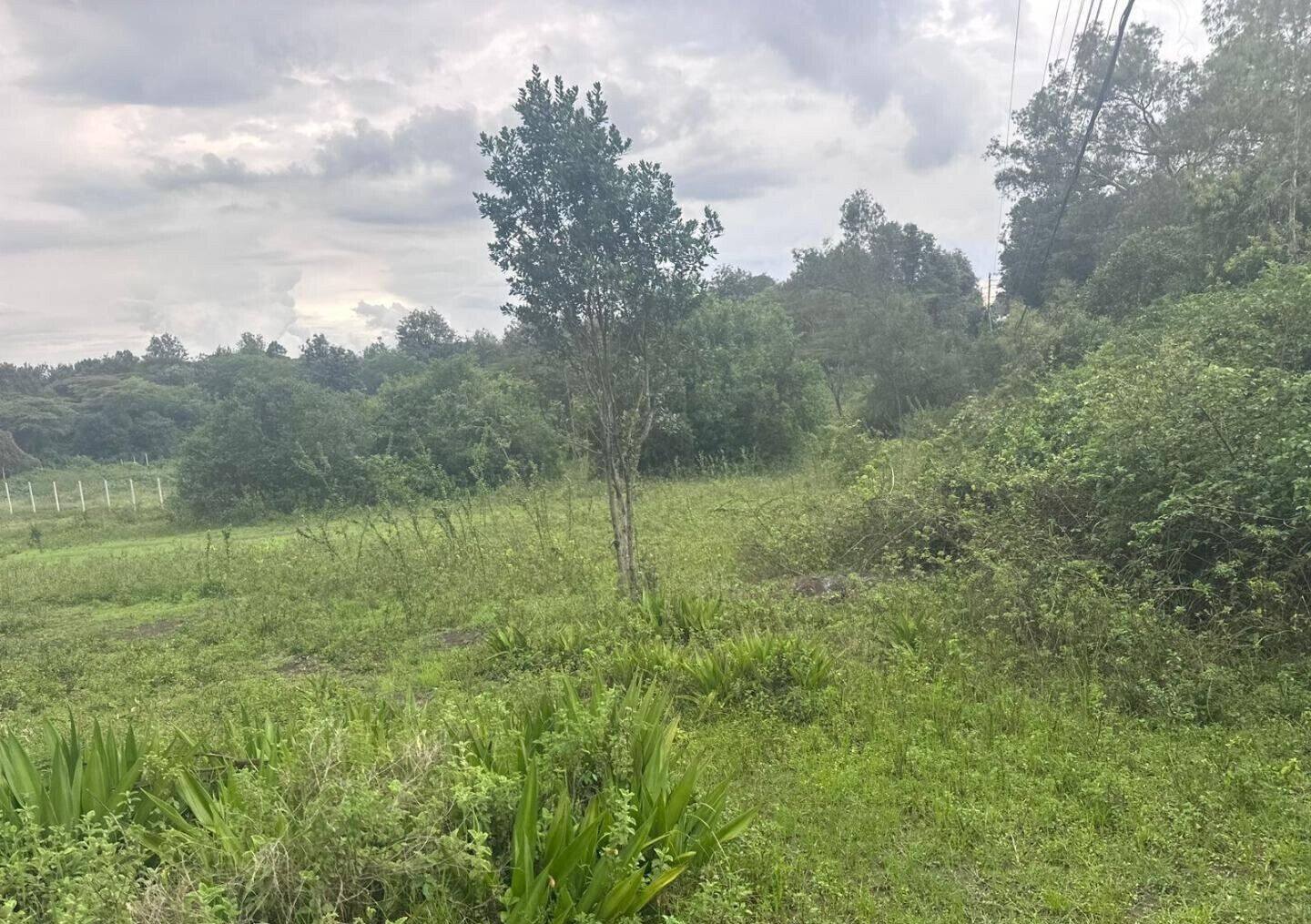Half Acre in Karen at KSh 35M