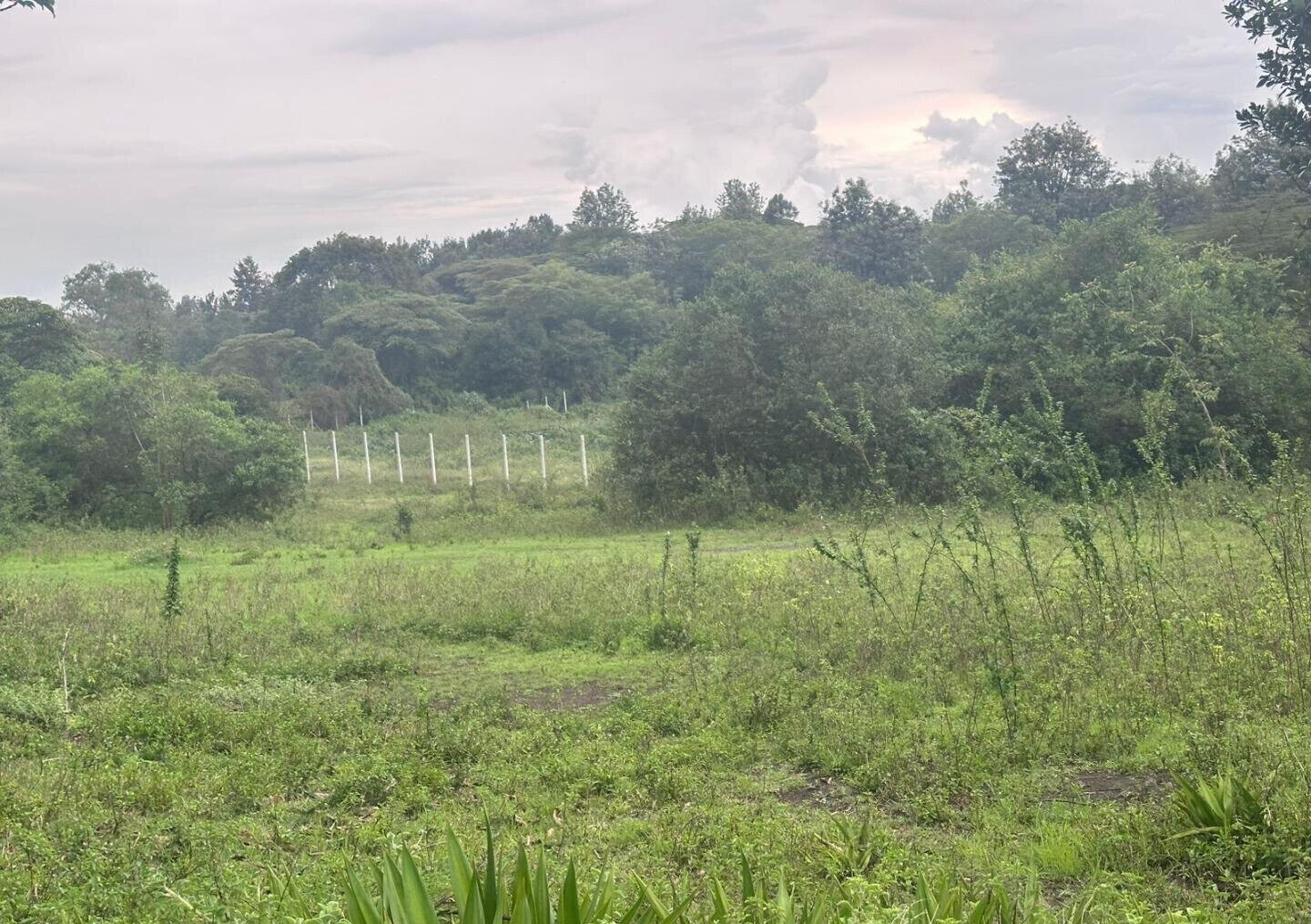 Half Acre in Karen at KSh 35M