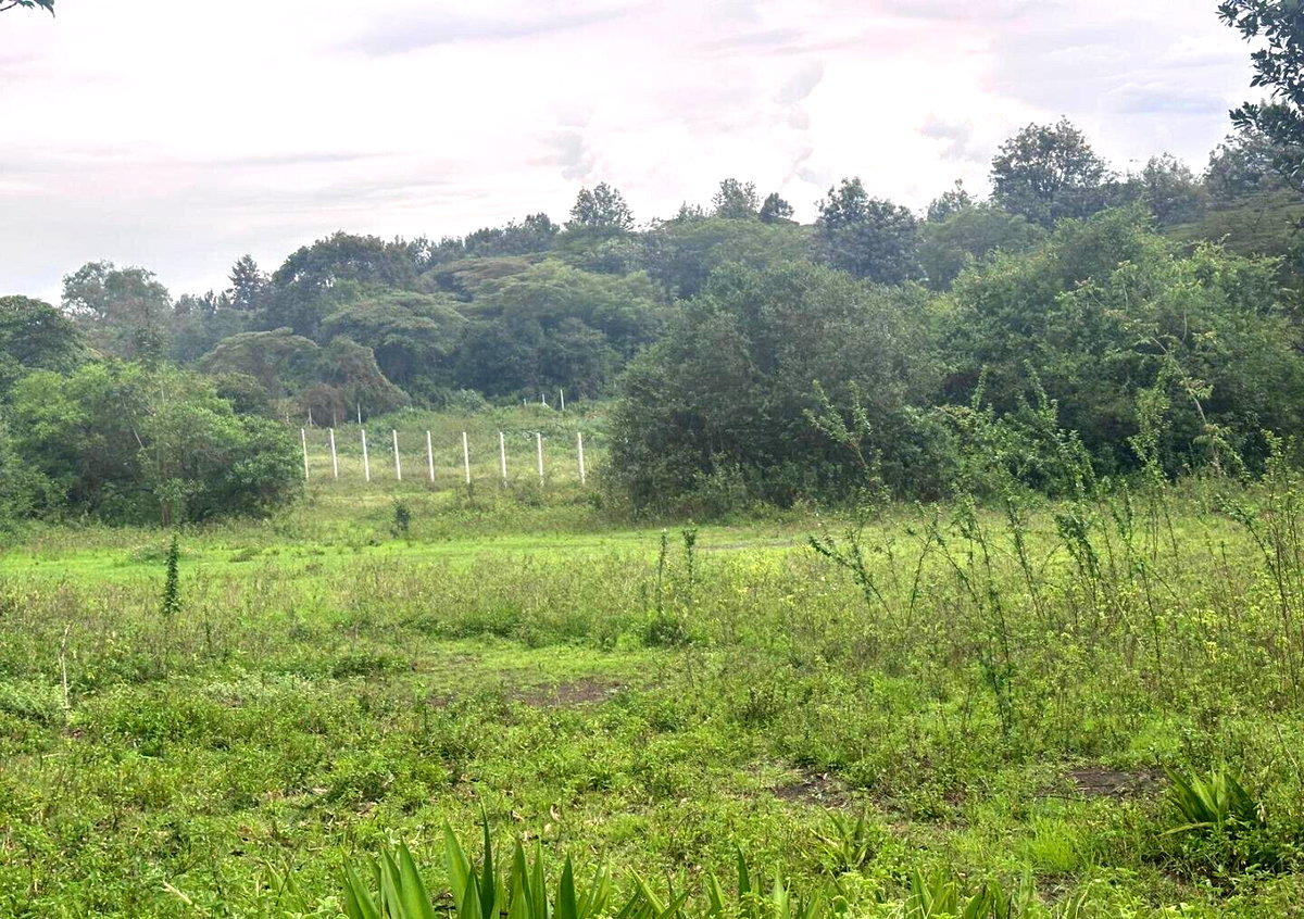 Half Acre in Karen at KSh 35M
