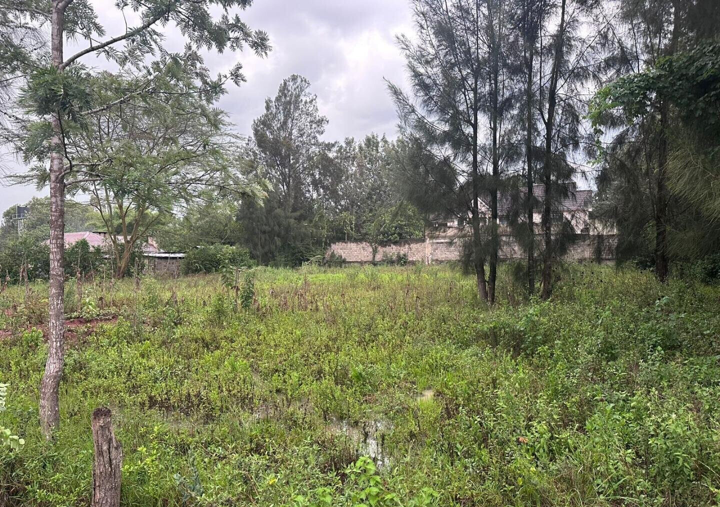 Half Acre in Karen at KSh 35M