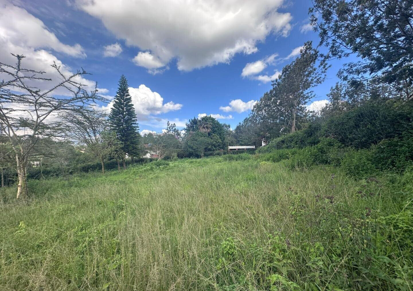 Half Acre in Karen at KSh 35M