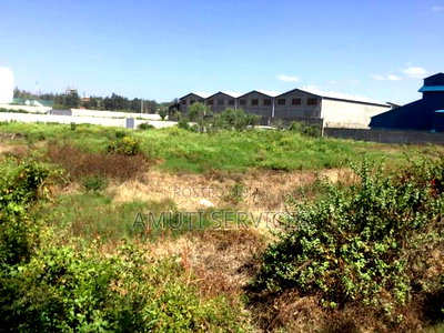 Athiriver: 1.3 Acres for Sale - Image 3