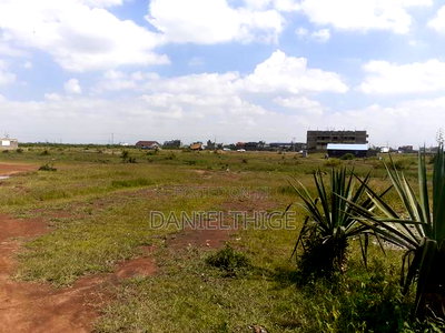 Eighth Acre Plot 40*80 Near Corner Brook School Titled Reduced Price - Image 8