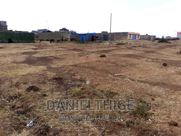 Eighth Acre Plot 40*80 Near Corner Brook School Titled Reduced Price