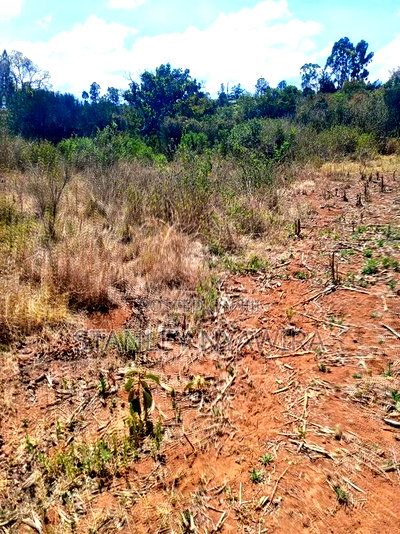 4 Acreas Nanyuki Land Fronting River - Image 3