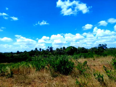 4 Acreas Nanyuki Land Fronting River - Image 4
