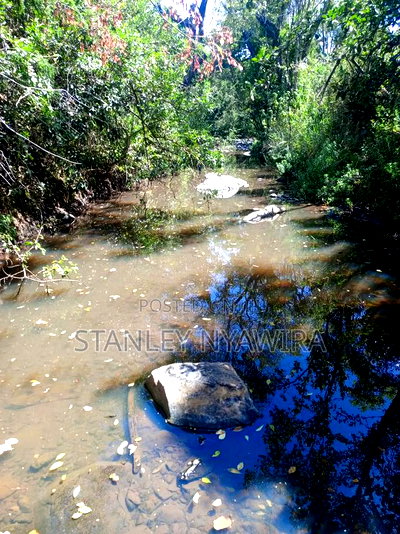 4 Acreas Nanyuki Land Fronting River - Image 1